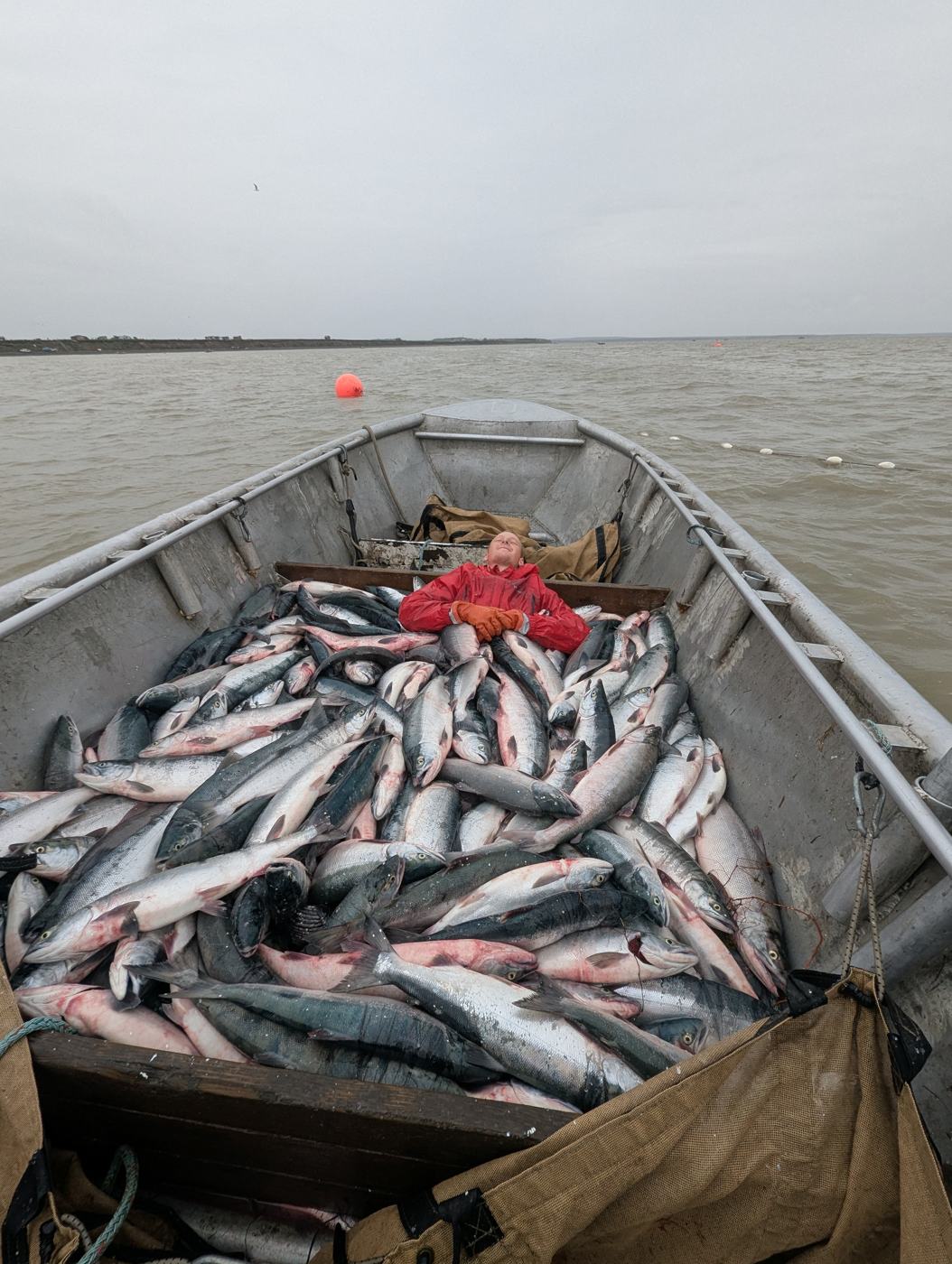 A crew member lying back on a skiff loaded with fresh sockeye