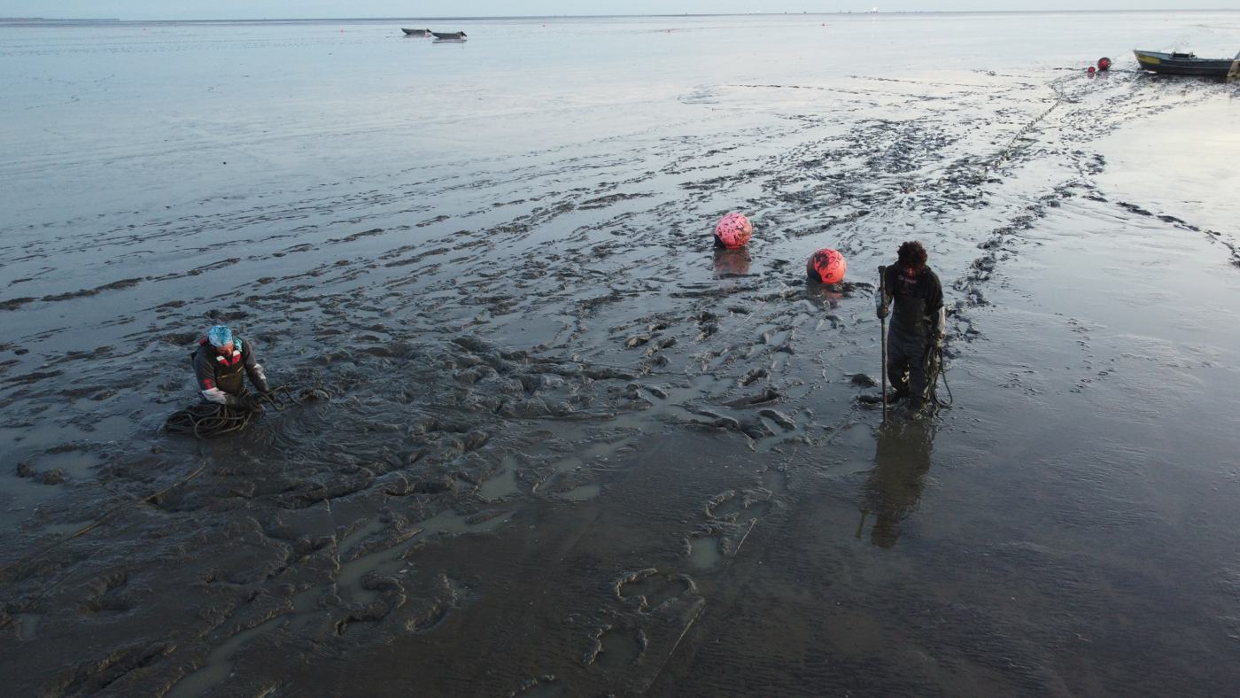 Crew working anchor lines on the mud flats at low tide