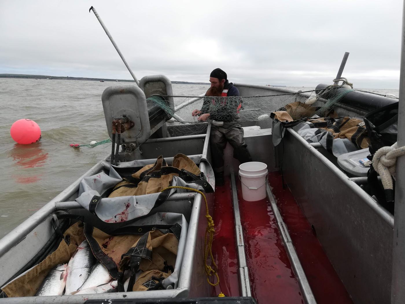 Crew member picking the net in the rain
